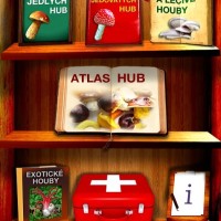 atlas hub 1