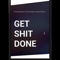 get-shit-done-17-2-s-307×512