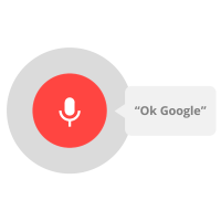 Ok Google Voice Search